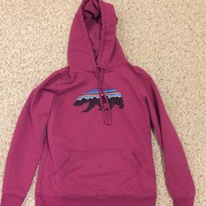 Patagonia Fitz Roy hoodie